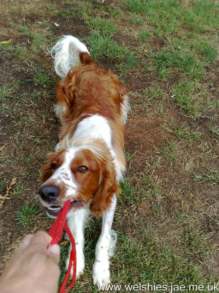 2010-08-07 04.jpg - I really hate my lead